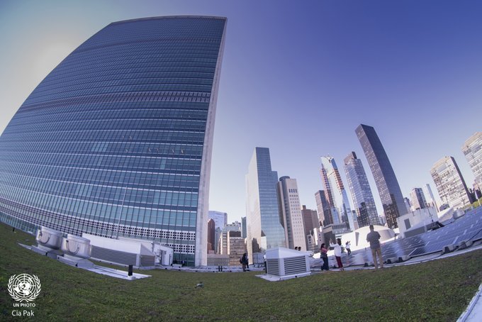 The completed green roof at the United Nations, designed and installed by Adaptive Green.