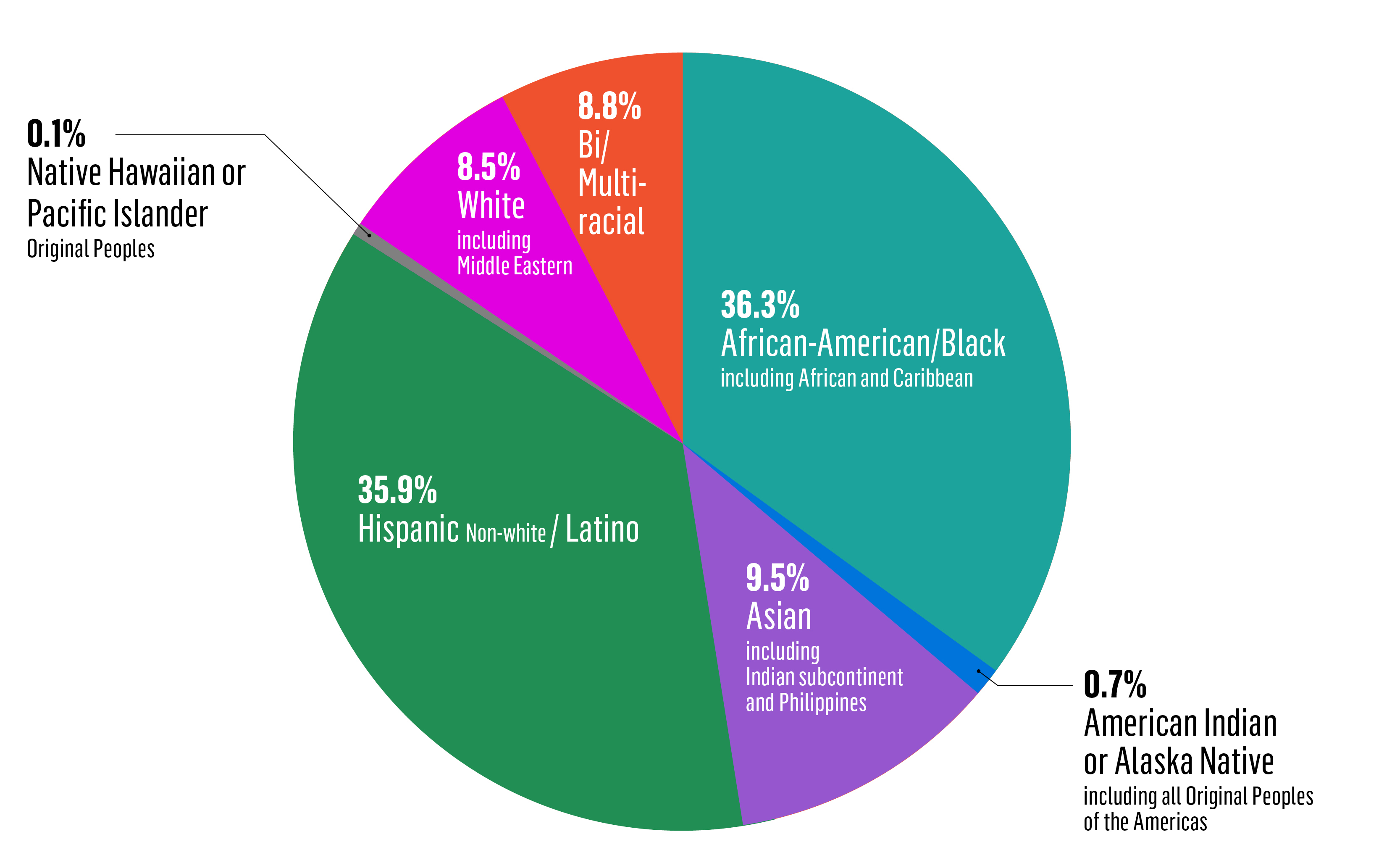 Racial demographics of 2017 Posse Scholar cohort