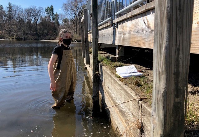 Posse Scholar Vivienne Maxwell conducting field research at Smith College.