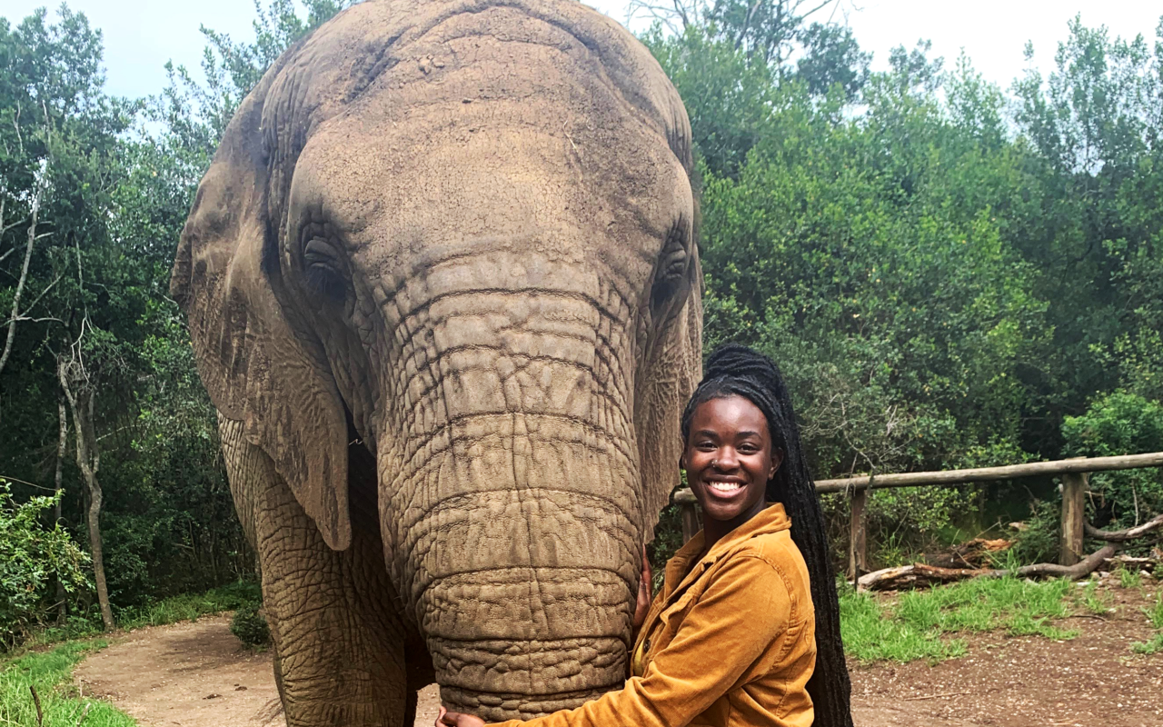 Lafayette Alum Savanna Touré.