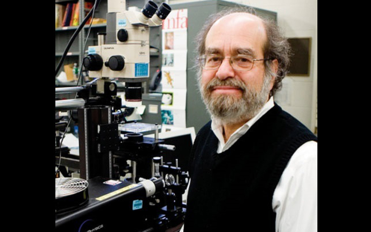 Dr. Irving Epstein, the interim provost, senior vice president for academic affairs, and Henry F. Fischbach professor of chemistry at Brandeis University.