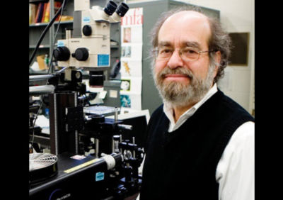 Dr. Irving Epstein, the interim provost, senior vice president for academic affairs, and Henry F. Fischbach professor of chemistry at Brandeis University.